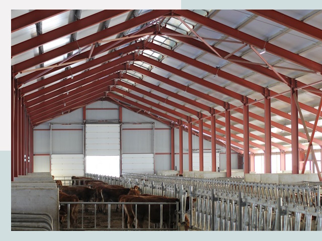 Строительство коровников в Ломоносове