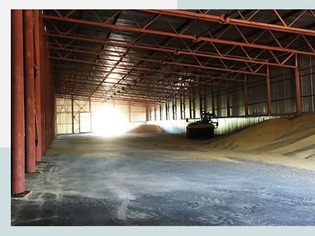 Строительство зернохранилищ в Ломоносове