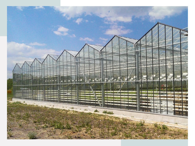 Строительство теплиц в Ломоносов от 615 руб. за м²